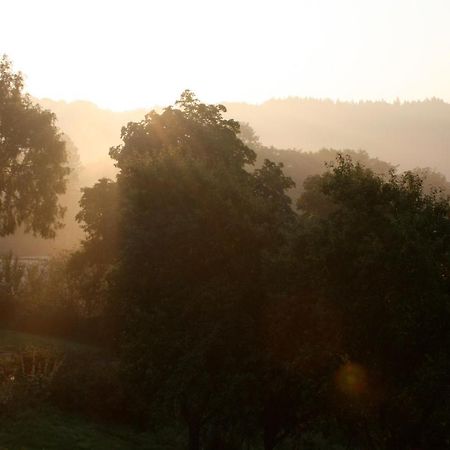 Ferienwohnung Eifel REBEIGE Gerolstein Kopp Exterior foto