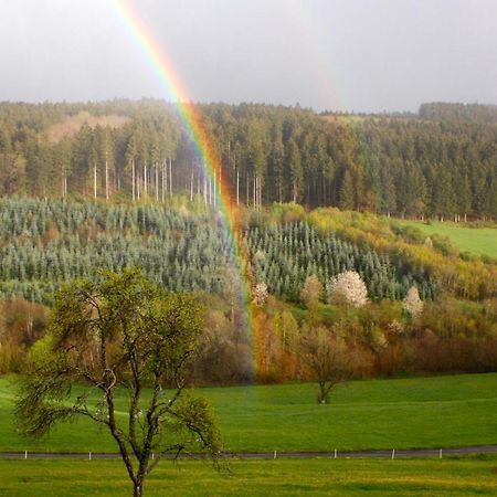Ferienwohnung Eifel REBEIGE Gerolstein Kopp Exterior foto