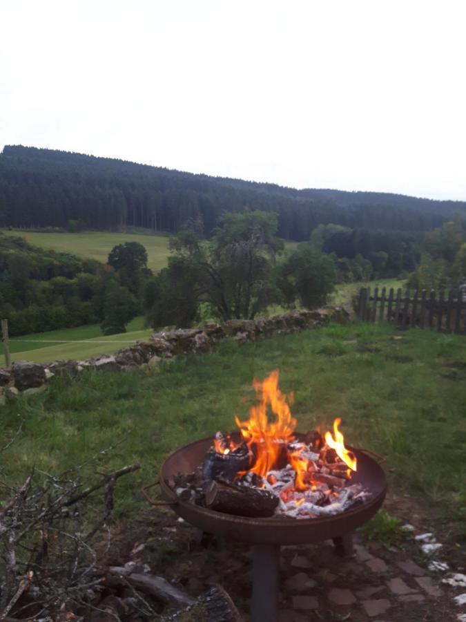 Ferienwohnung Eifel REBEIGE Gerolstein Kopp Exterior foto
