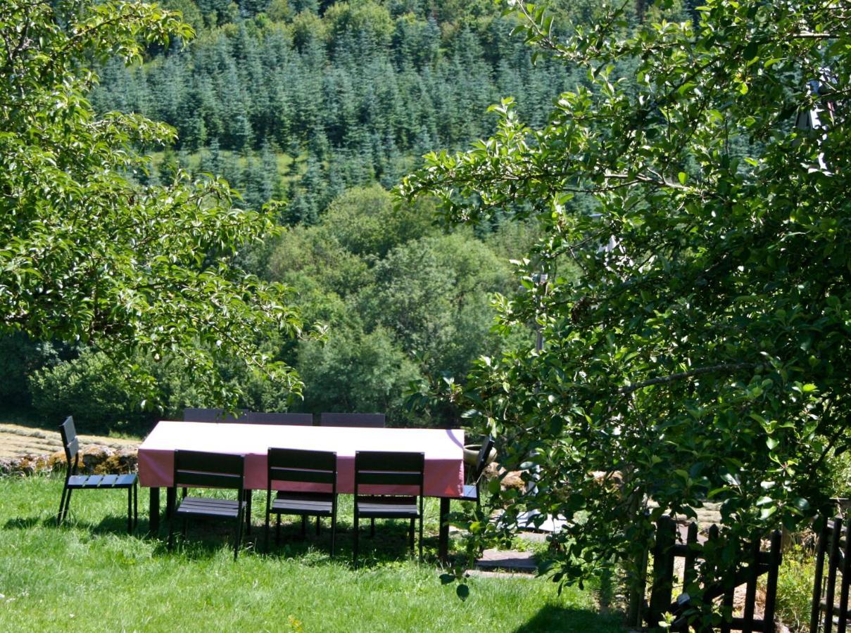 Ferienwohnung Eifel REBEIGE Gerolstein Kopp Exterior foto