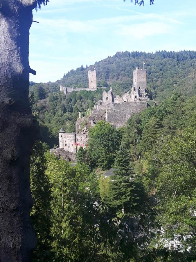 Ferienwohnung Eifel REBEIGE Gerolstein Kopp Exterior foto