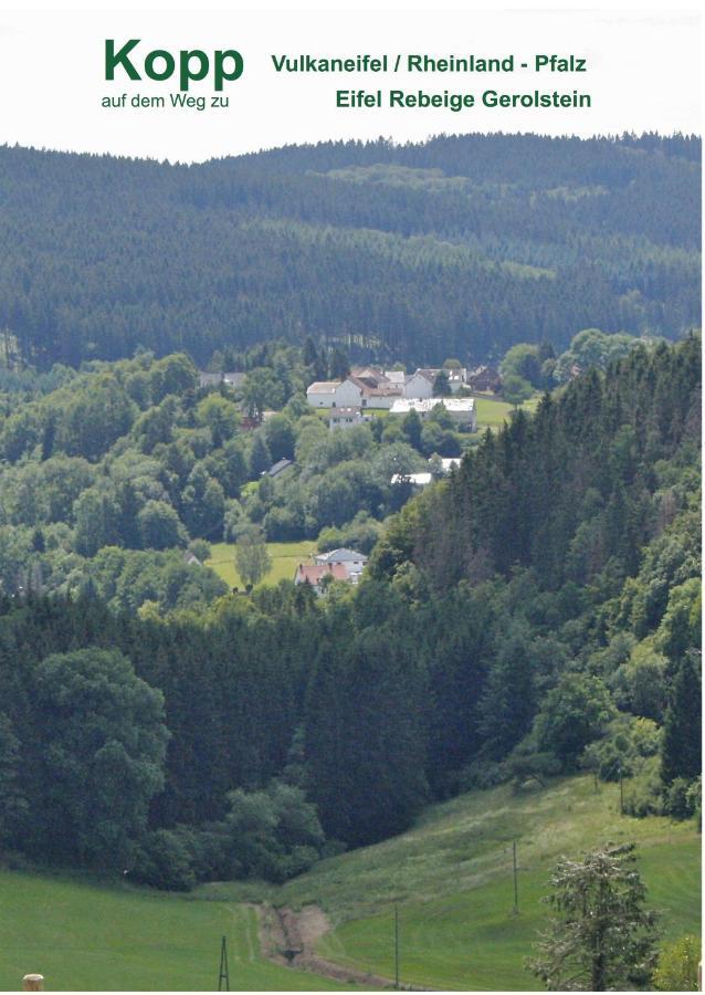 Ferienwohnung Eifel REBEIGE Gerolstein Kopp Exterior foto
