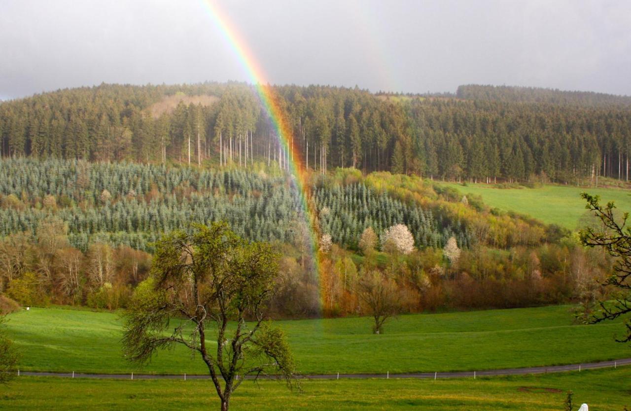 Ferienwohnung Eifel REBEIGE Gerolstein Kopp Exterior foto